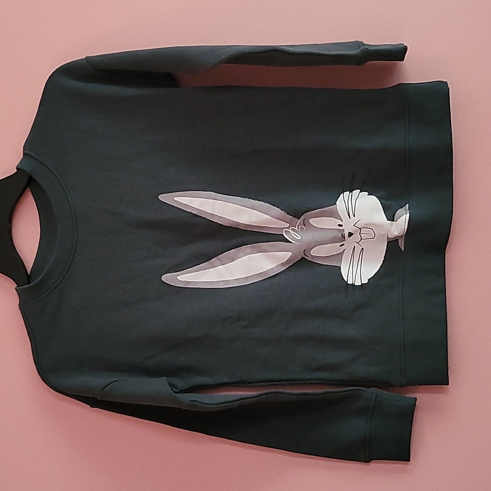 Looney tunes sweatshirt